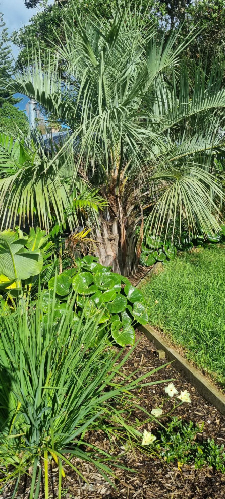 Tropical Poolside in Swanson