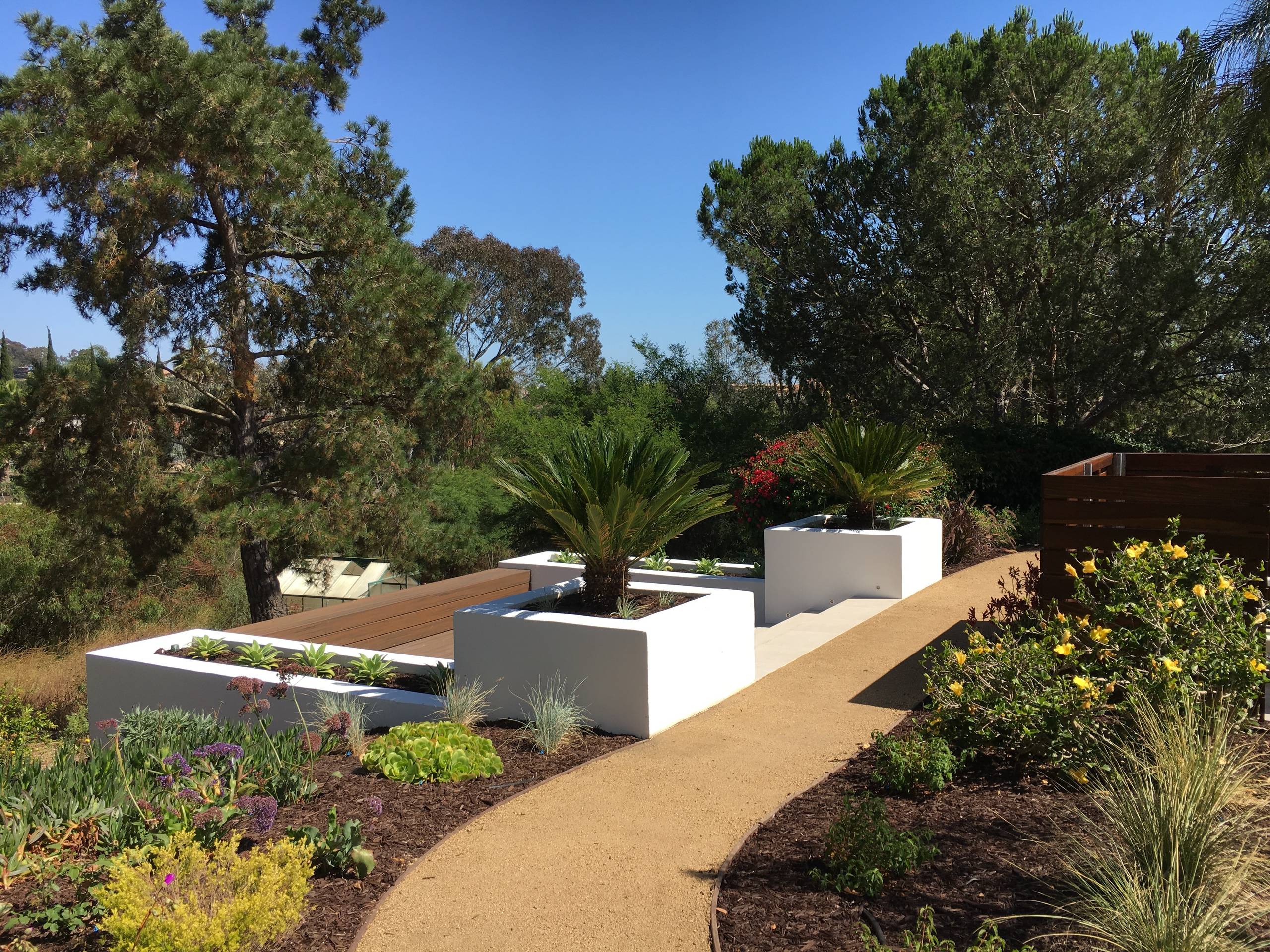 Rancho Santa Fe Backyard Remodel