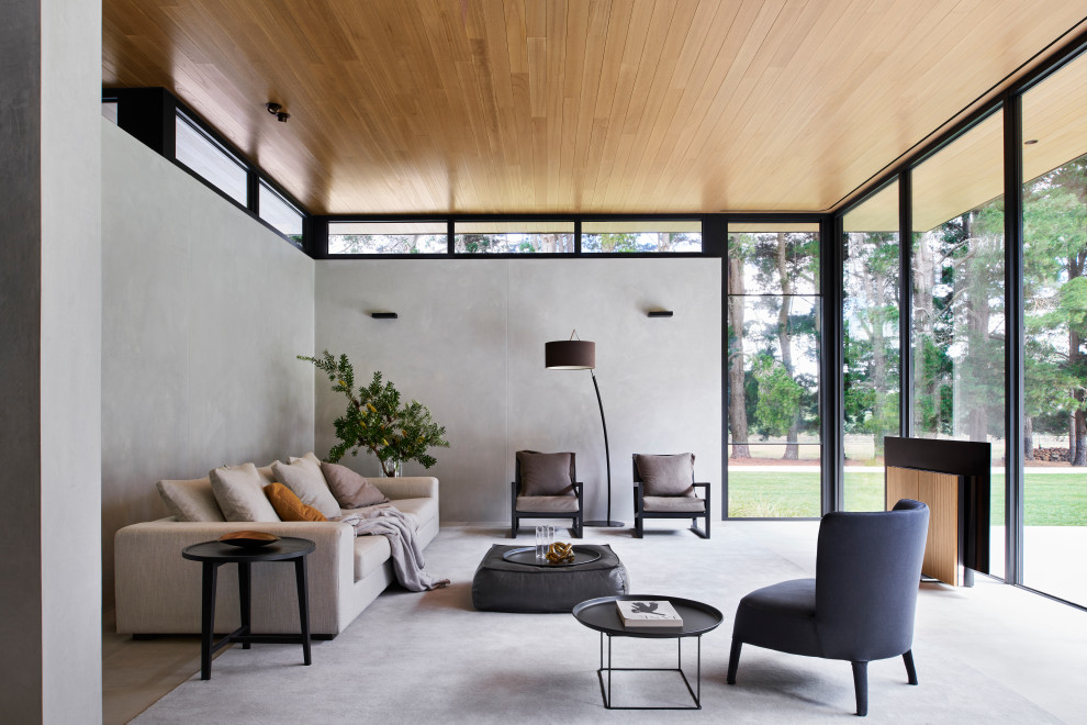 Esempio di un soggiorno moderno con pareti grigie, pavimento in gres porcellanato, TV autoportante e soffitto in perlinato