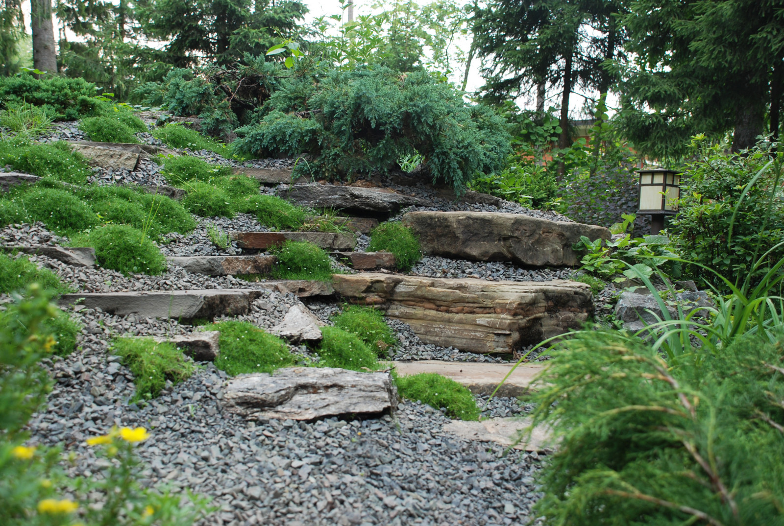 Лесной участок в КП "РИИТА"