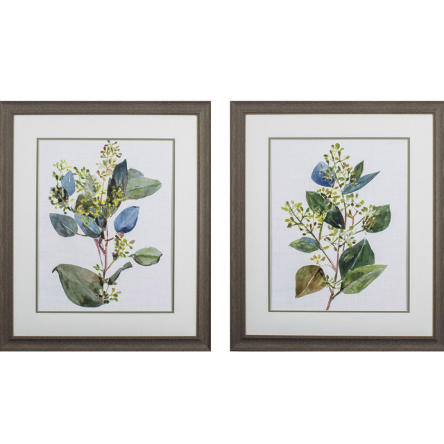 Seeded Eucalyptus Wall Art, 2Piece Set Contemporary Prints And