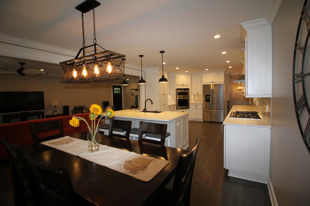 Example of a transitional home design design in Chicago