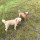 webuser_135806182