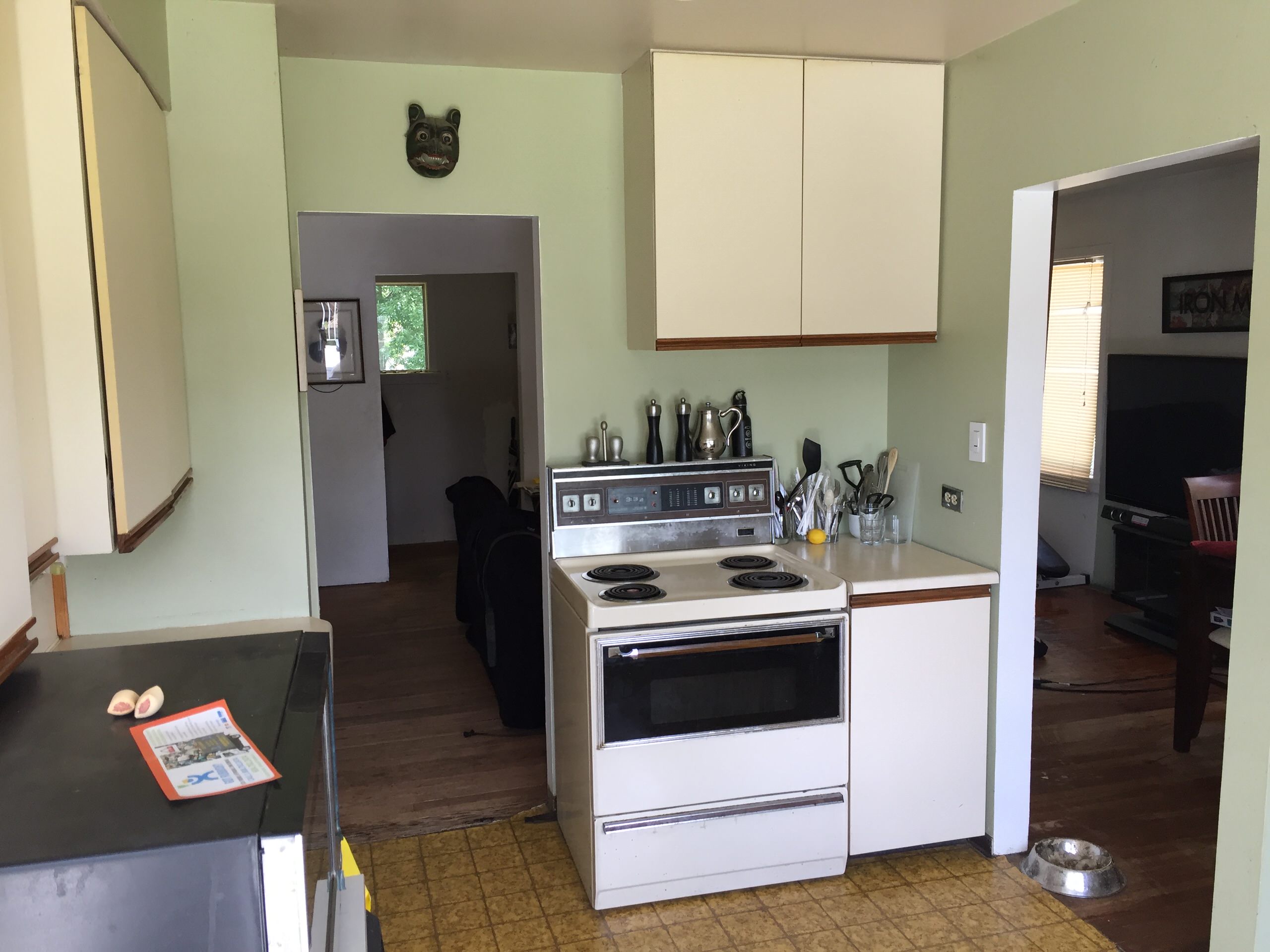 Complete gut kitchen renovation