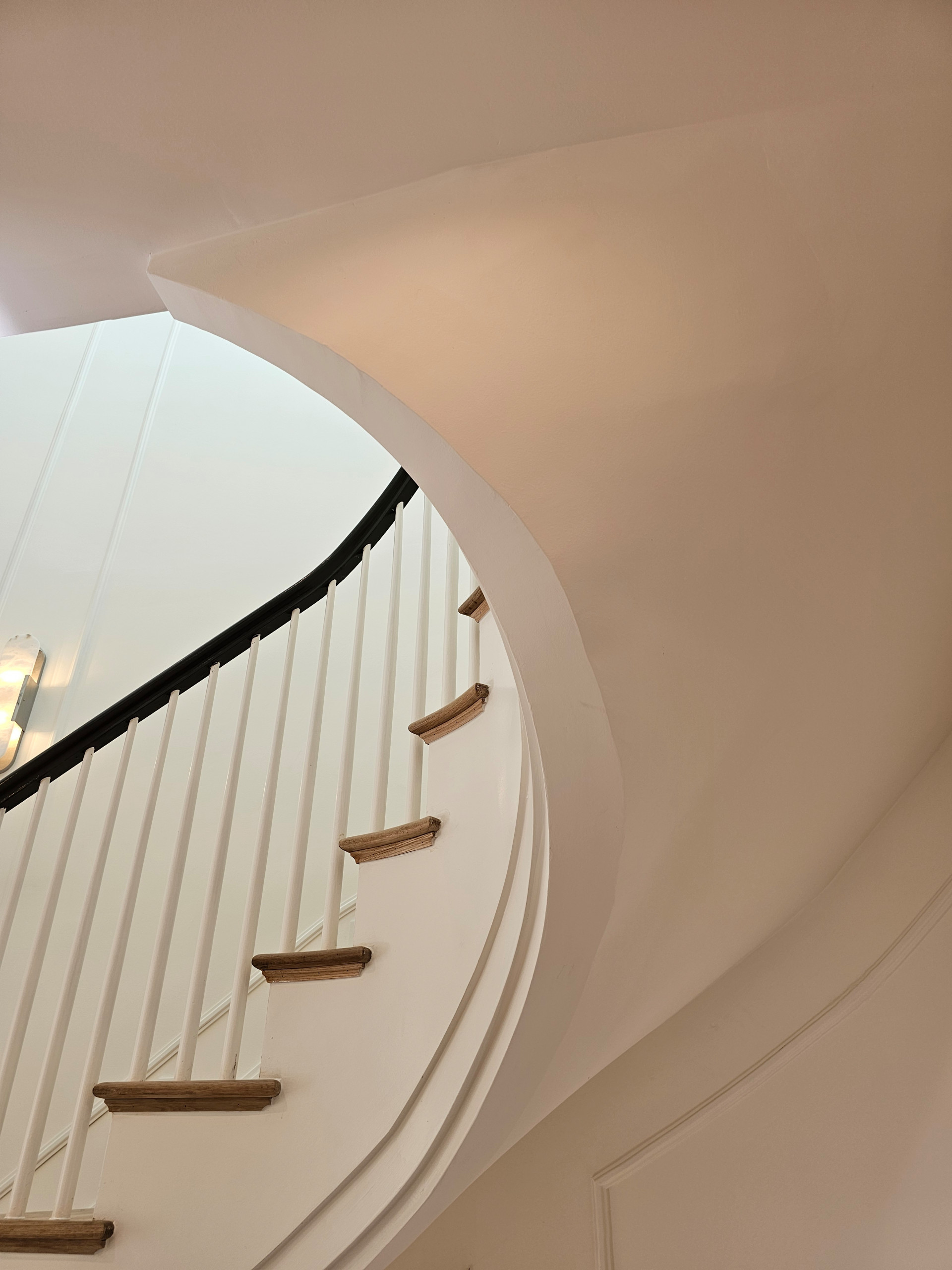 131_Stunning Elliptical in Historic DC Home, Washington DC 20007