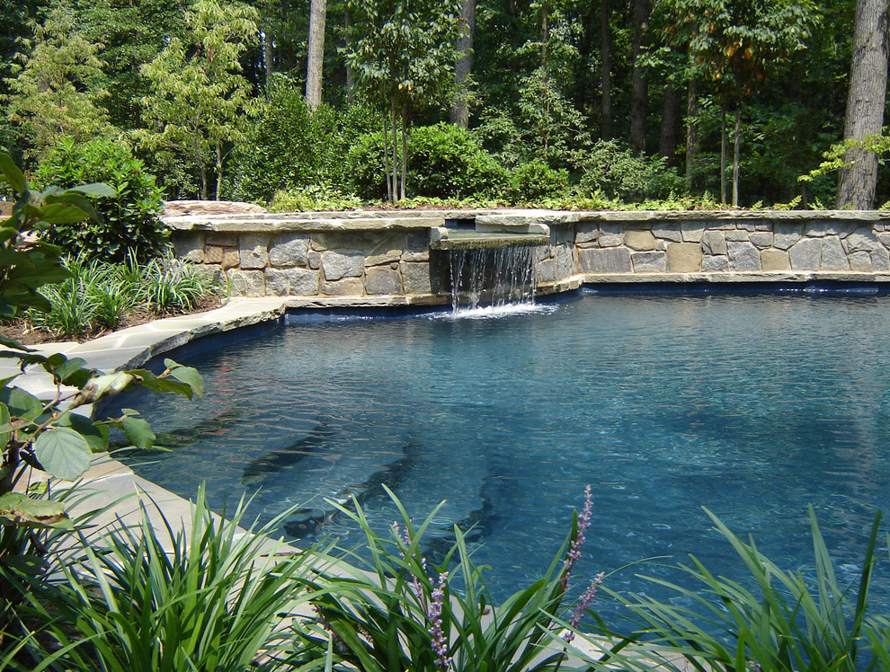 Inspiration for a traditional pool in DC Metro.