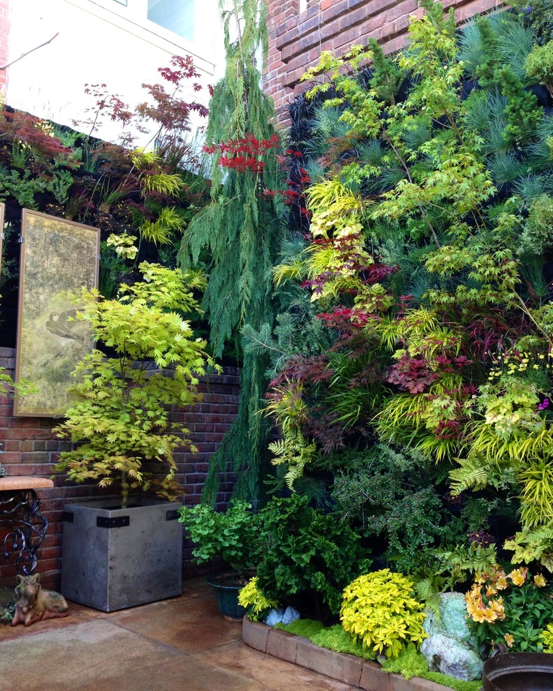 This is an example of a small asian courtyard partial sun garden for fall in San Francisco with a vertical garden.