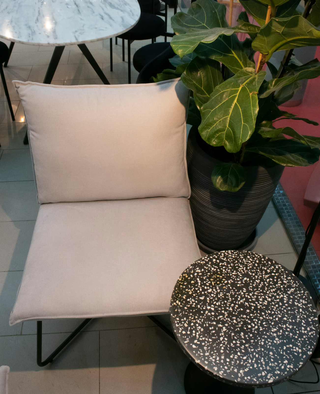 Black Fox Coffee OZ Mall