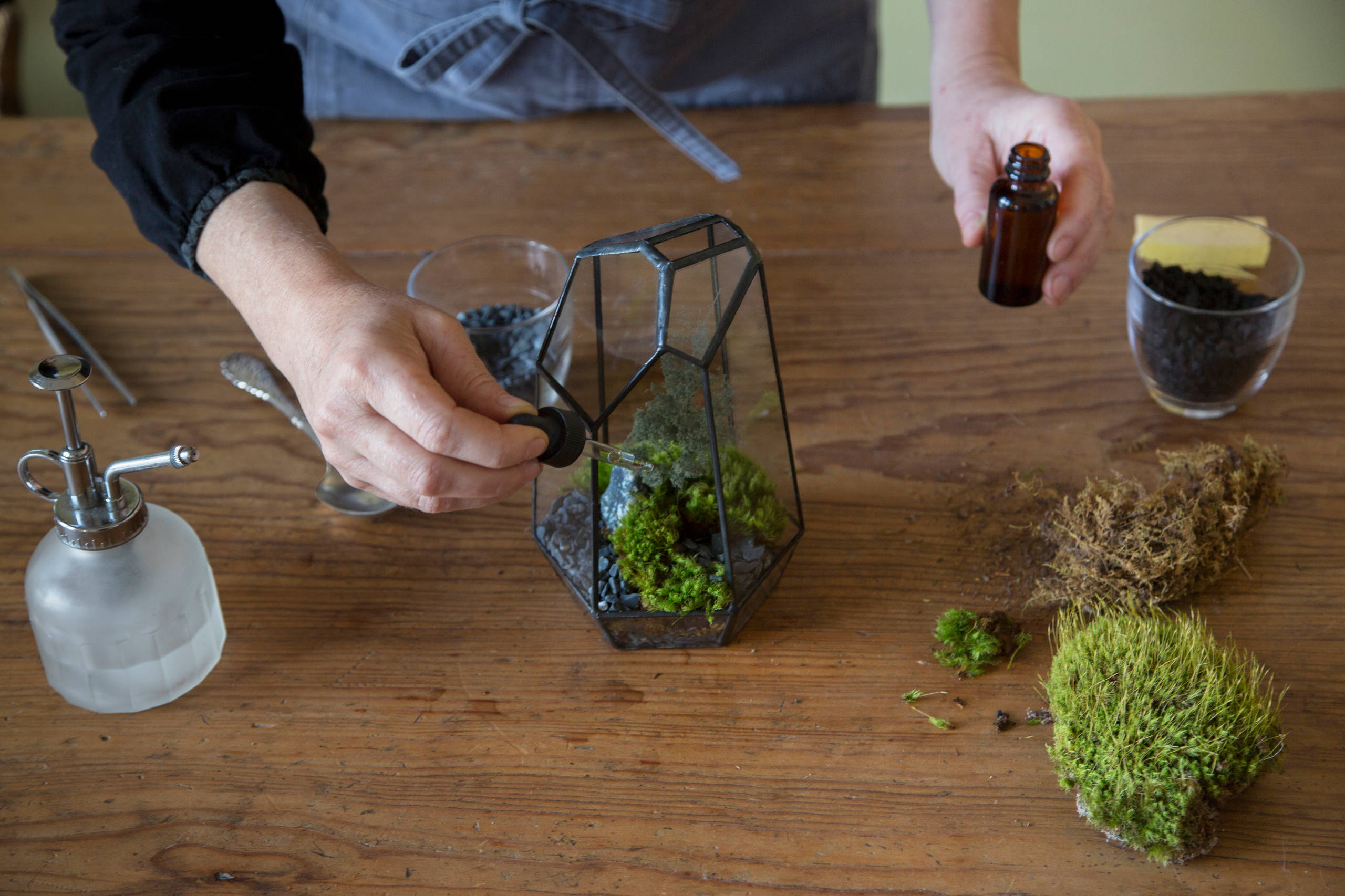 DIY: Mini-Moos-Terrarium selbst bepflanzen