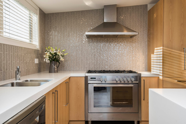 Wanaka Apartments modern-kitchen