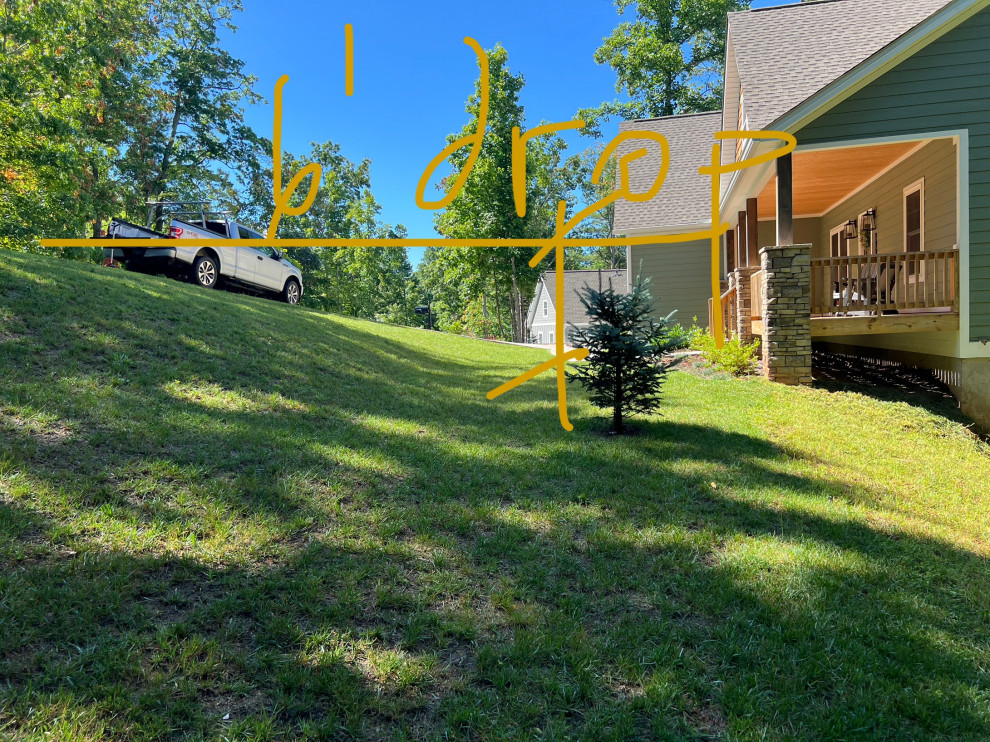 An Artist and her Front Yard