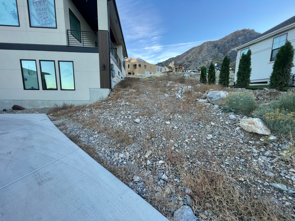 Alpine Landscape Build