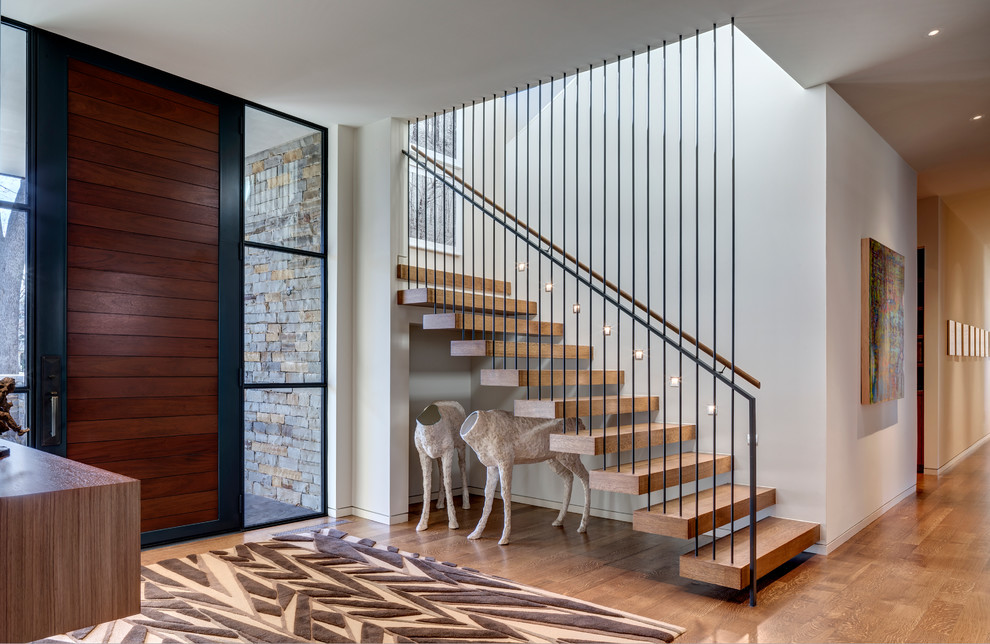 Inspiration for a mid-sized contemporary foyer in Dallas with white walls, medium hardwood floors, a single front door and a dark wood front door.