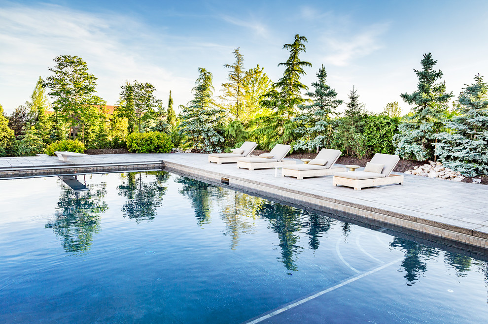 Pool - large transitional backyard stone and rectangular lap pool idea