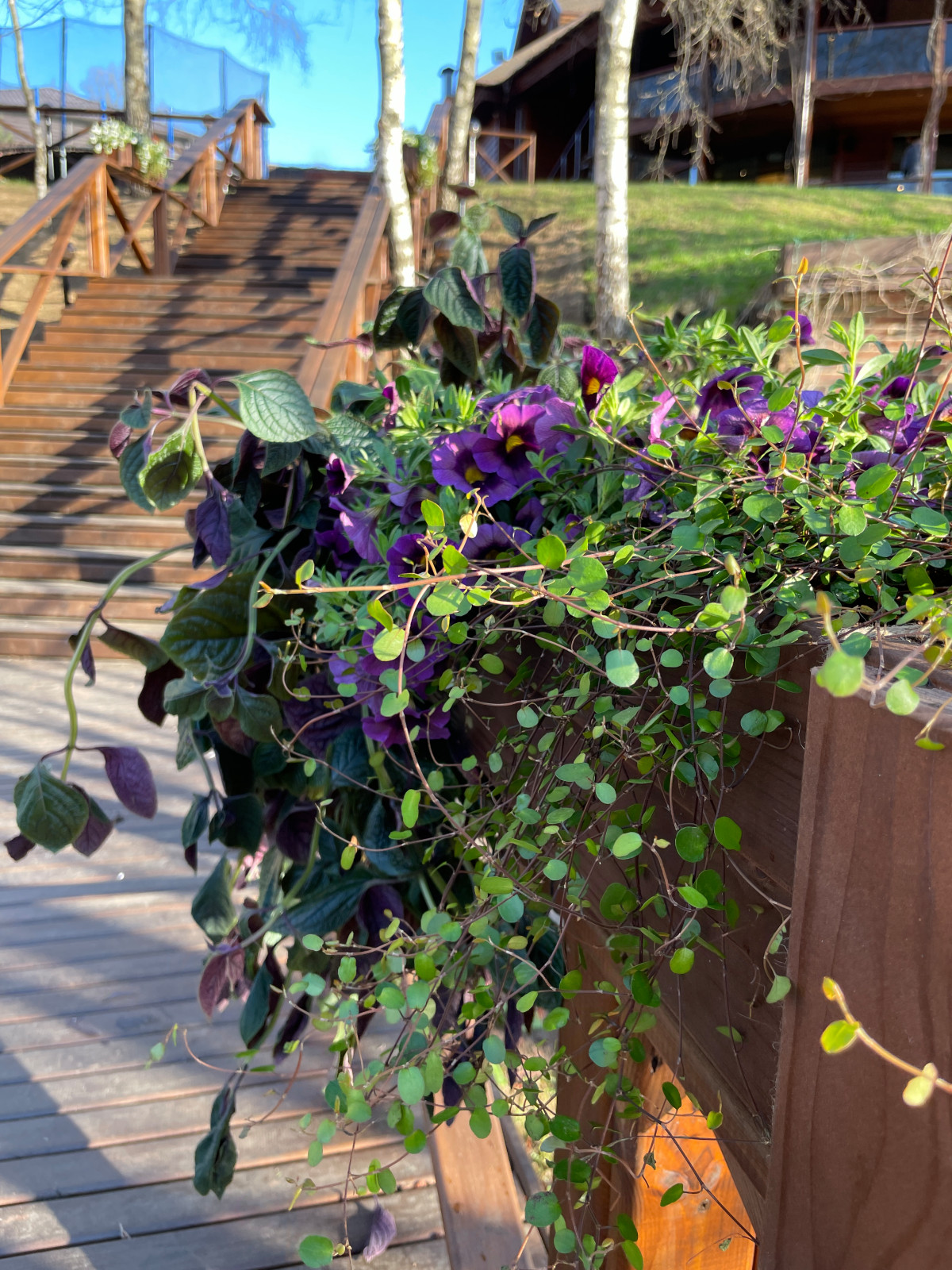 Ресторан "Fish Point"