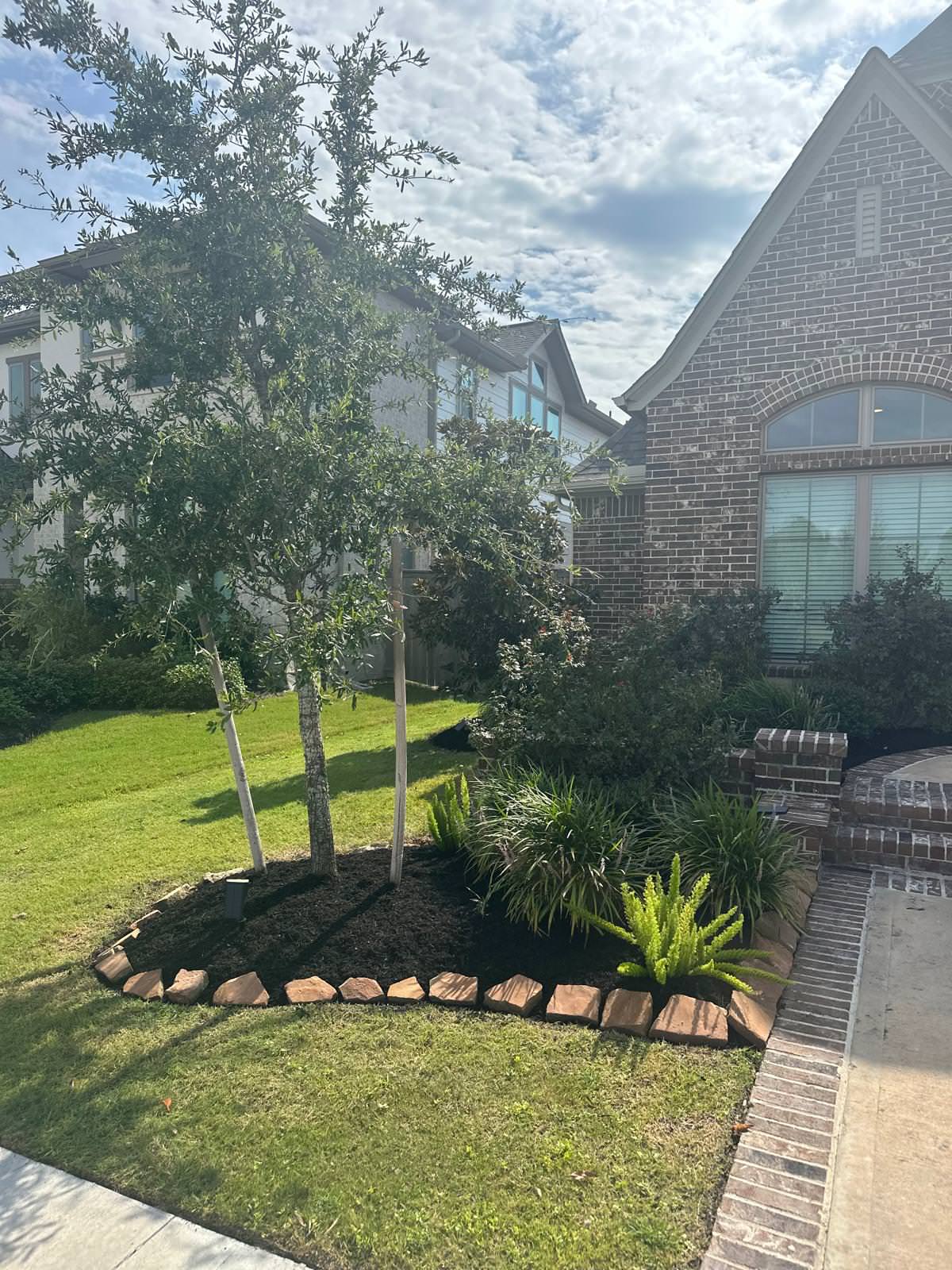 Backyard paradise in Bridgeland