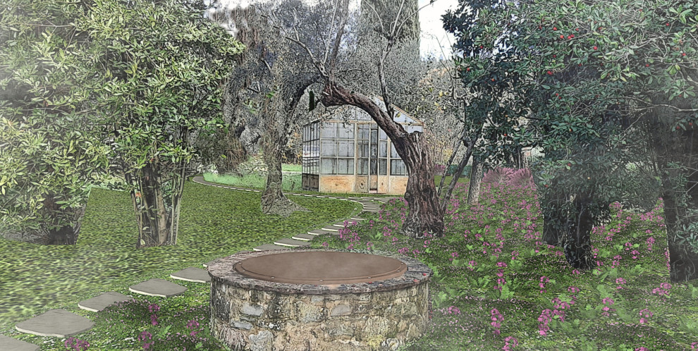 Cascina in collina con uliveto