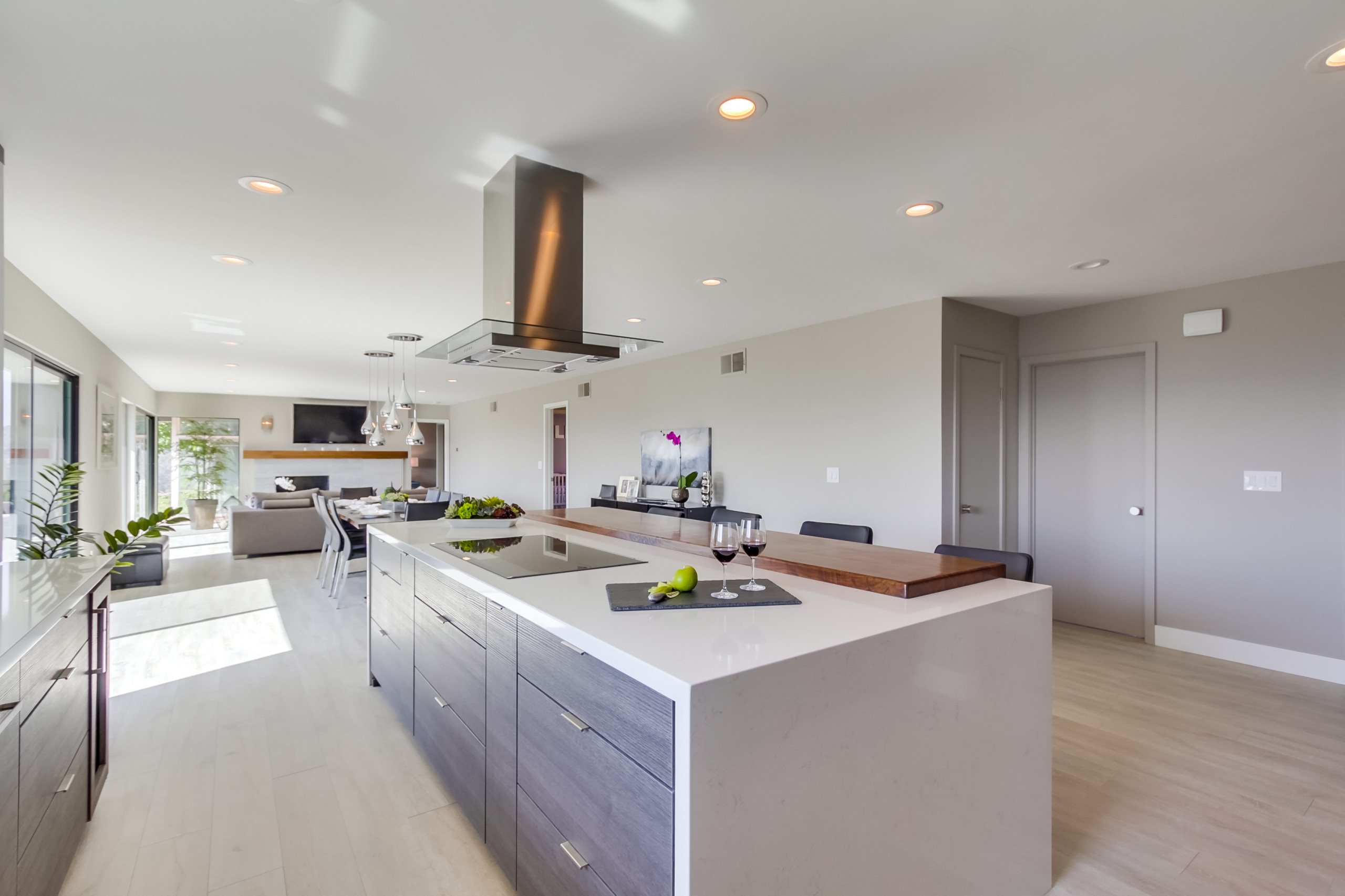 La Mesa_Modern Kitchen_Whole Home Remodel