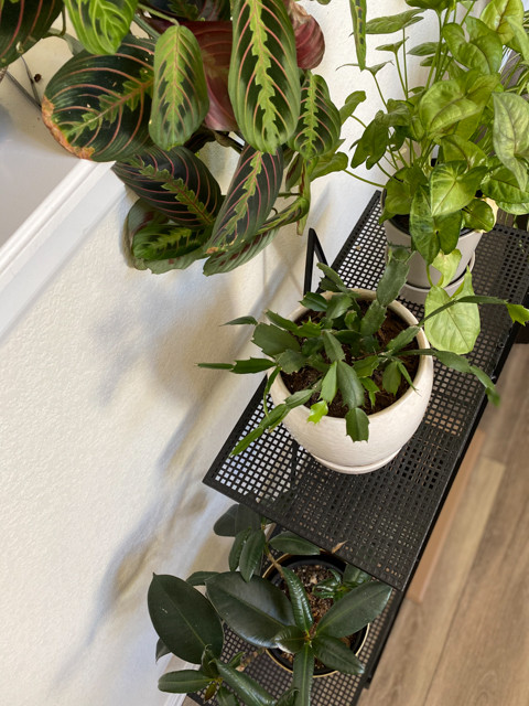 Perez Living & Bath | Aurora, CO | Contemporary Main Floor Remodel