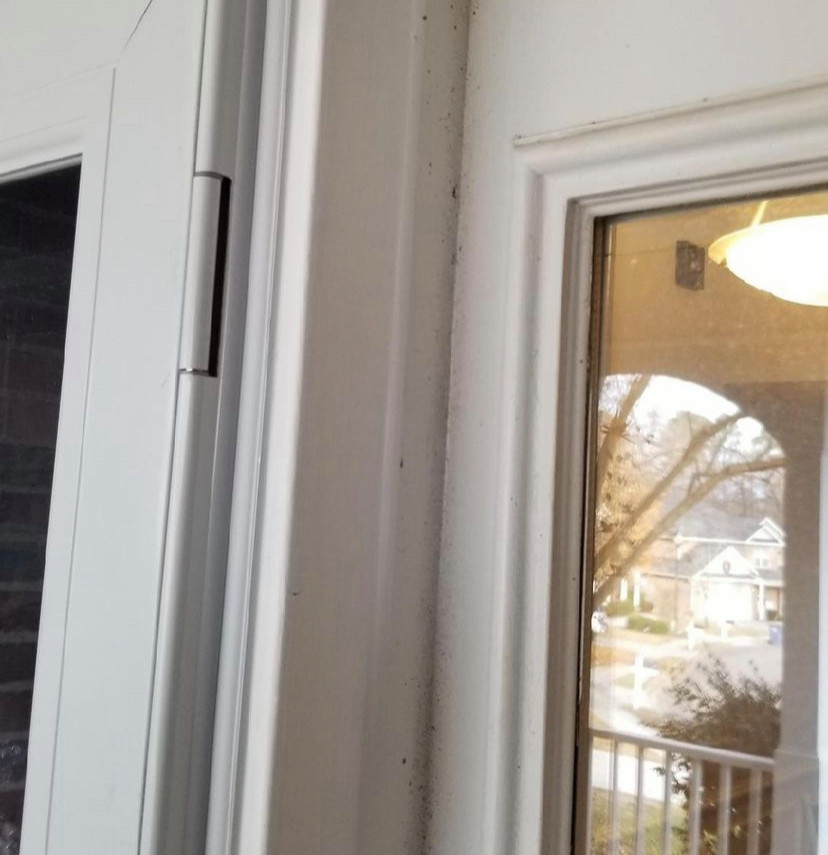 Custom Fit Storm Door in Stratford