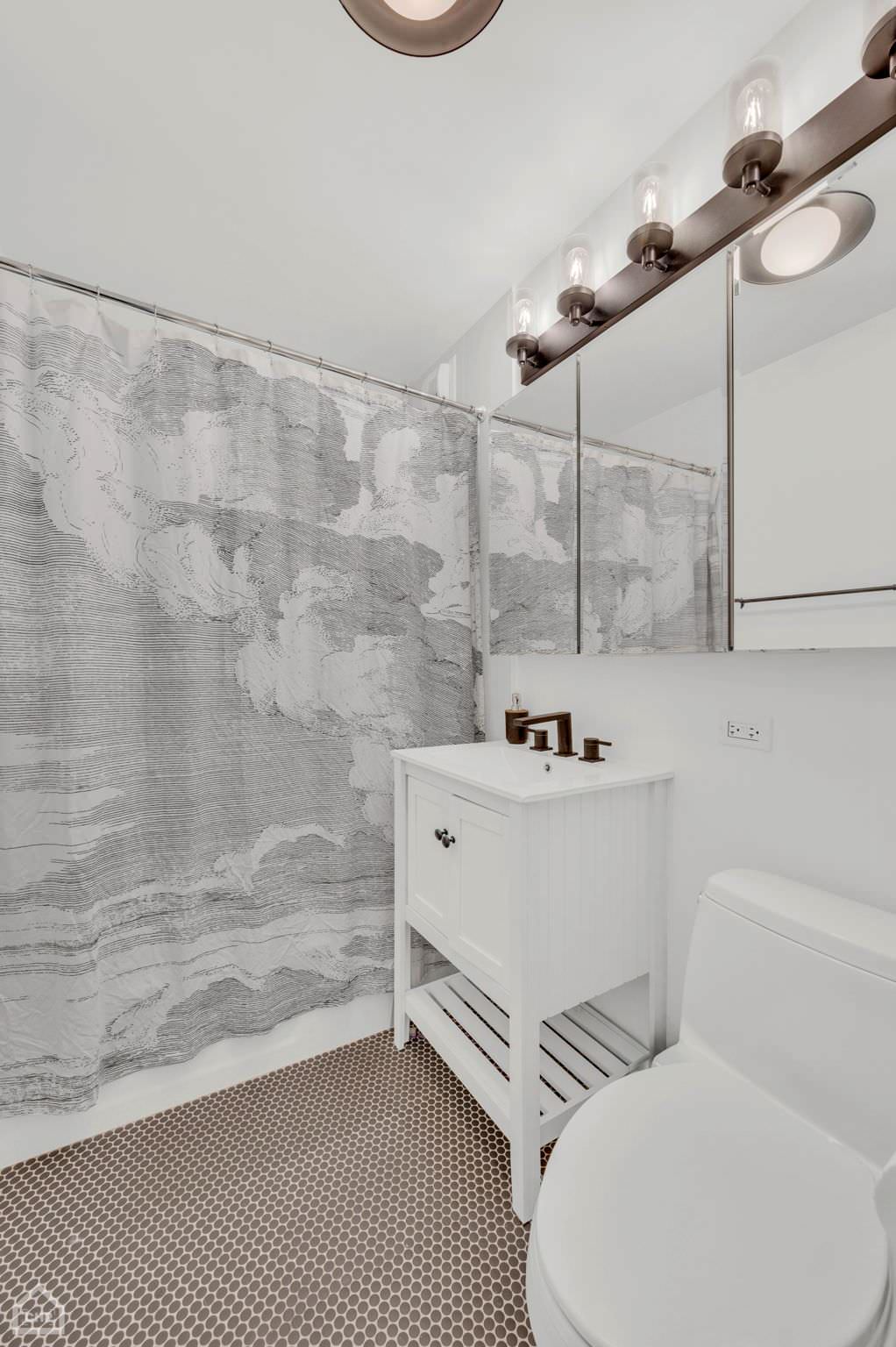 Lincoln Park Bathroom Renovation