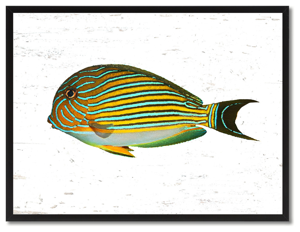 Yellow Tropical Fish Painting, 28"x37"