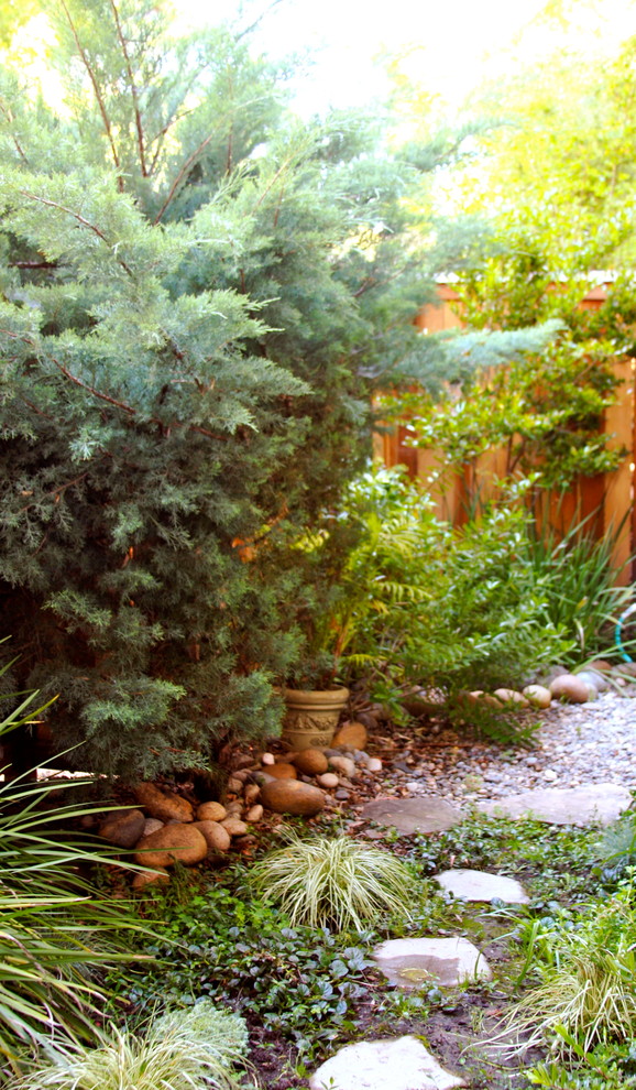 Photo of a small asian backyard shaded garden in San Francisco with gravel.