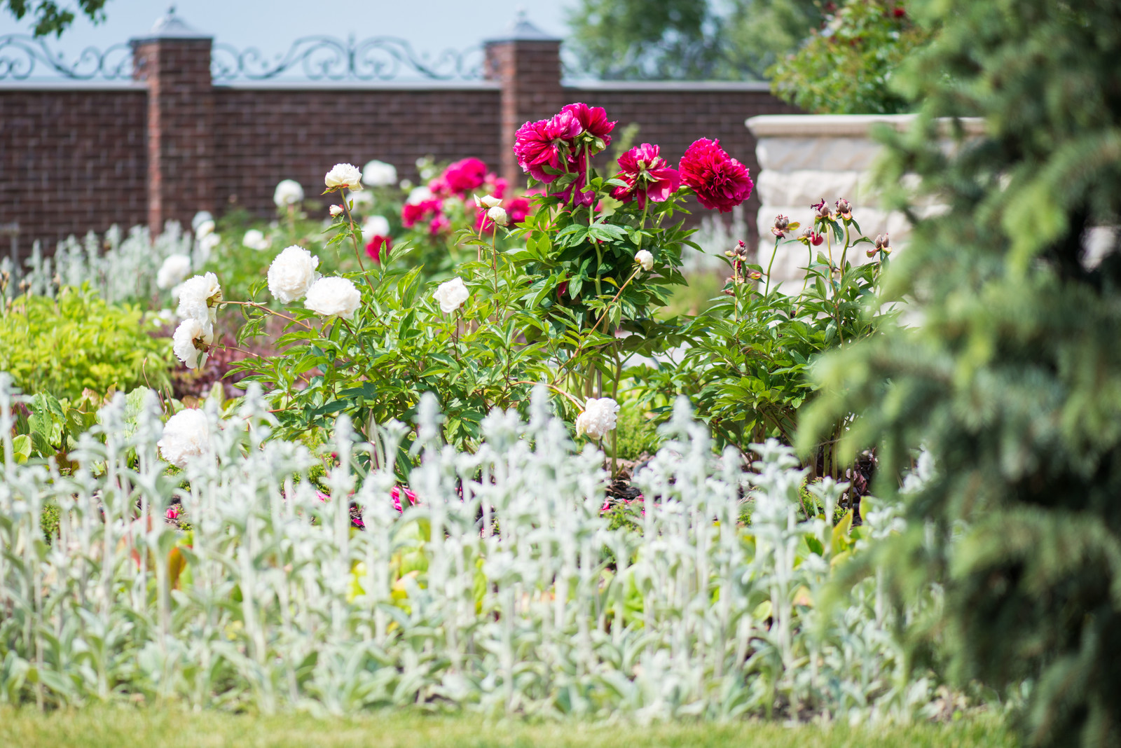 Сад "Витражи". Серебряная медаль конкурса "Ландшафтная осень-2016"