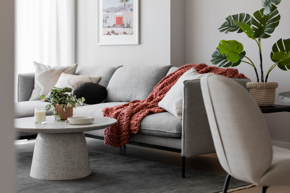 This is an example of a contemporary living room in Melbourne.
