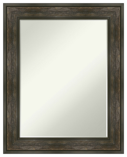 Rail Rustic Char Petite Bevel Wall Mirror 23.75 x 29.75 in.