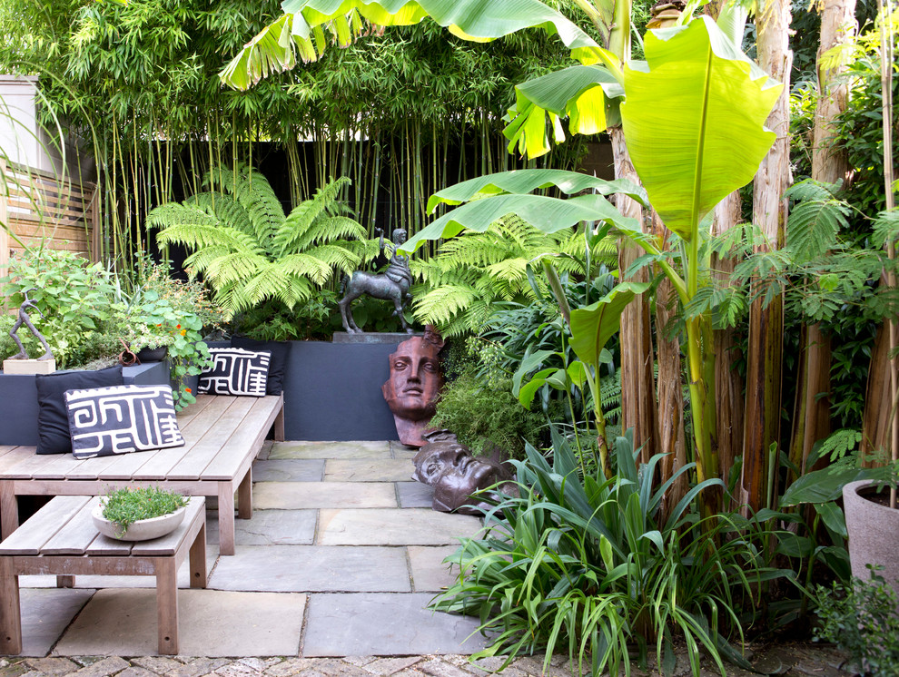Urban tropical - Tropical - London - by antonia schofield garden design