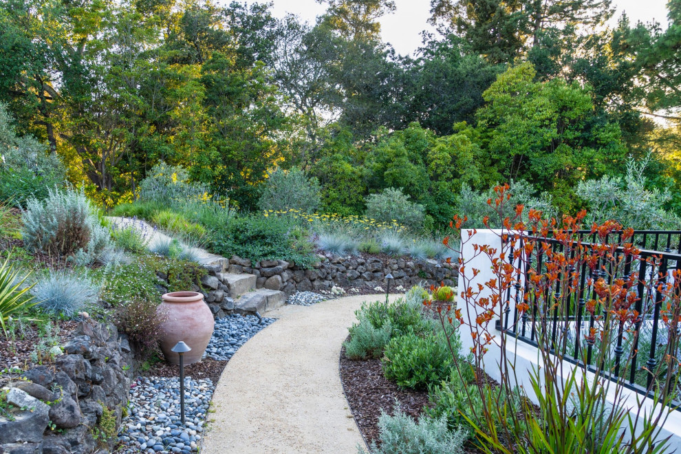 Design ideas for a large mediterranean front yard xeriscape in San Francisco.