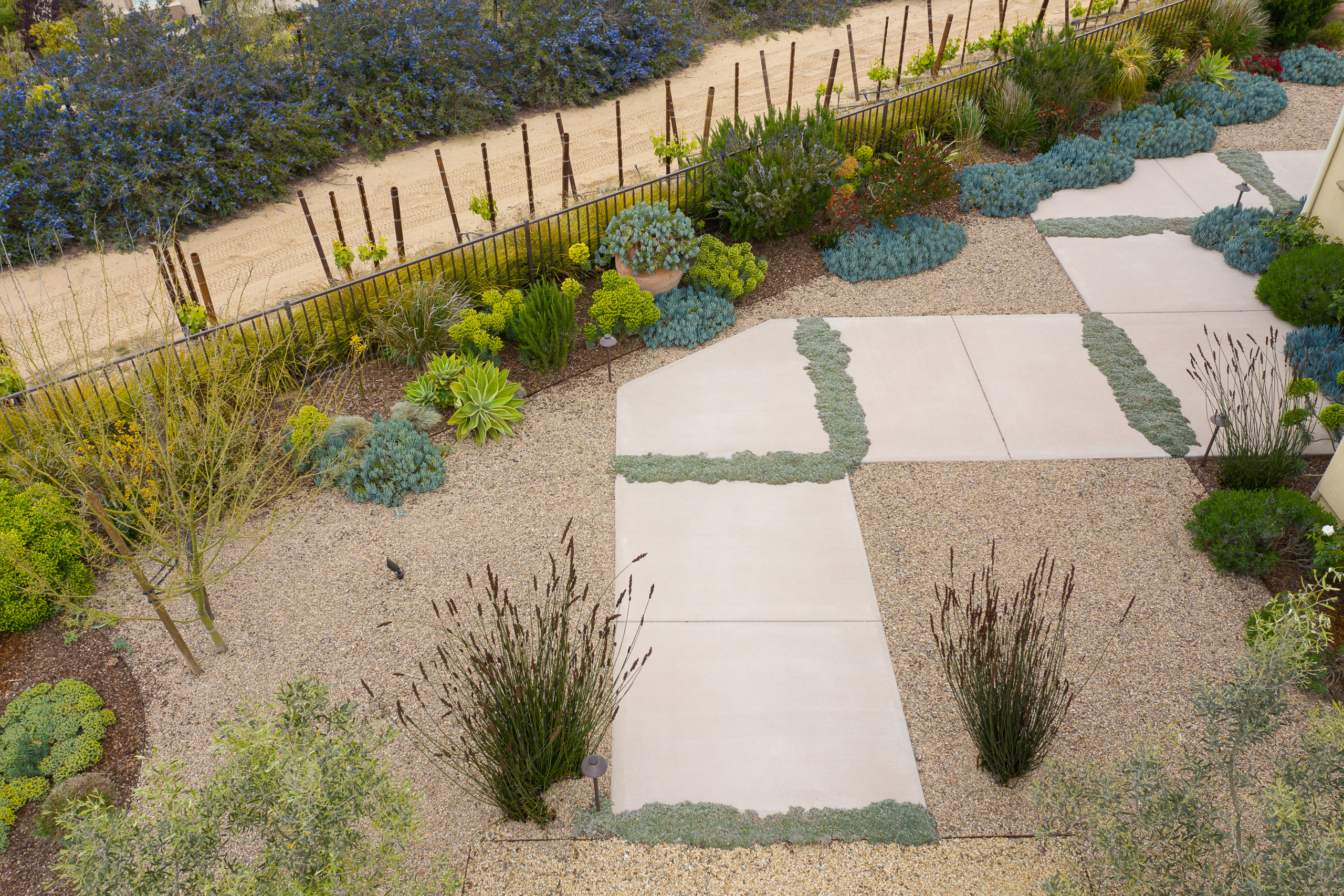 Trilogy Landscape and Outdoor Kitchen