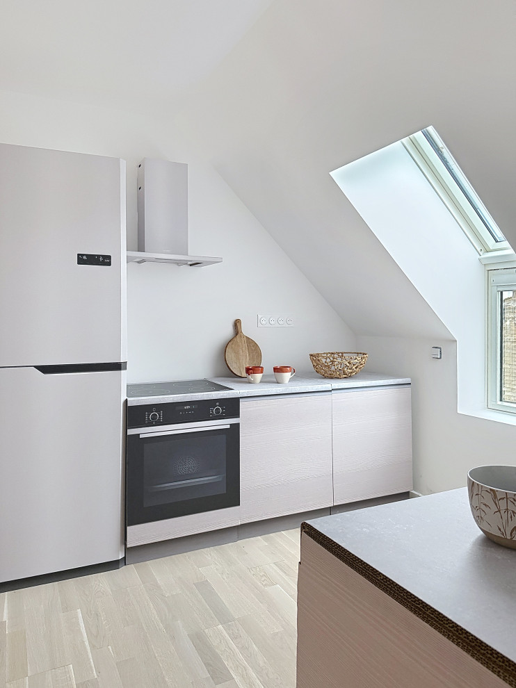 PROJET ICONE I Appartement Témoin