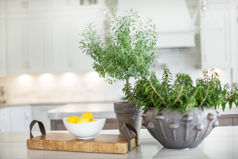Inspiration for a transitional kitchen remodel in Chicago