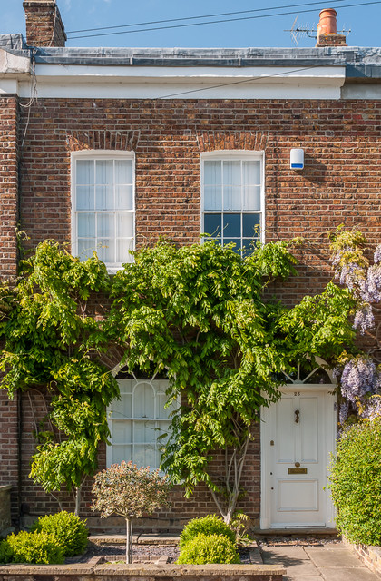 Traditional Exterior traditional-house-exterior