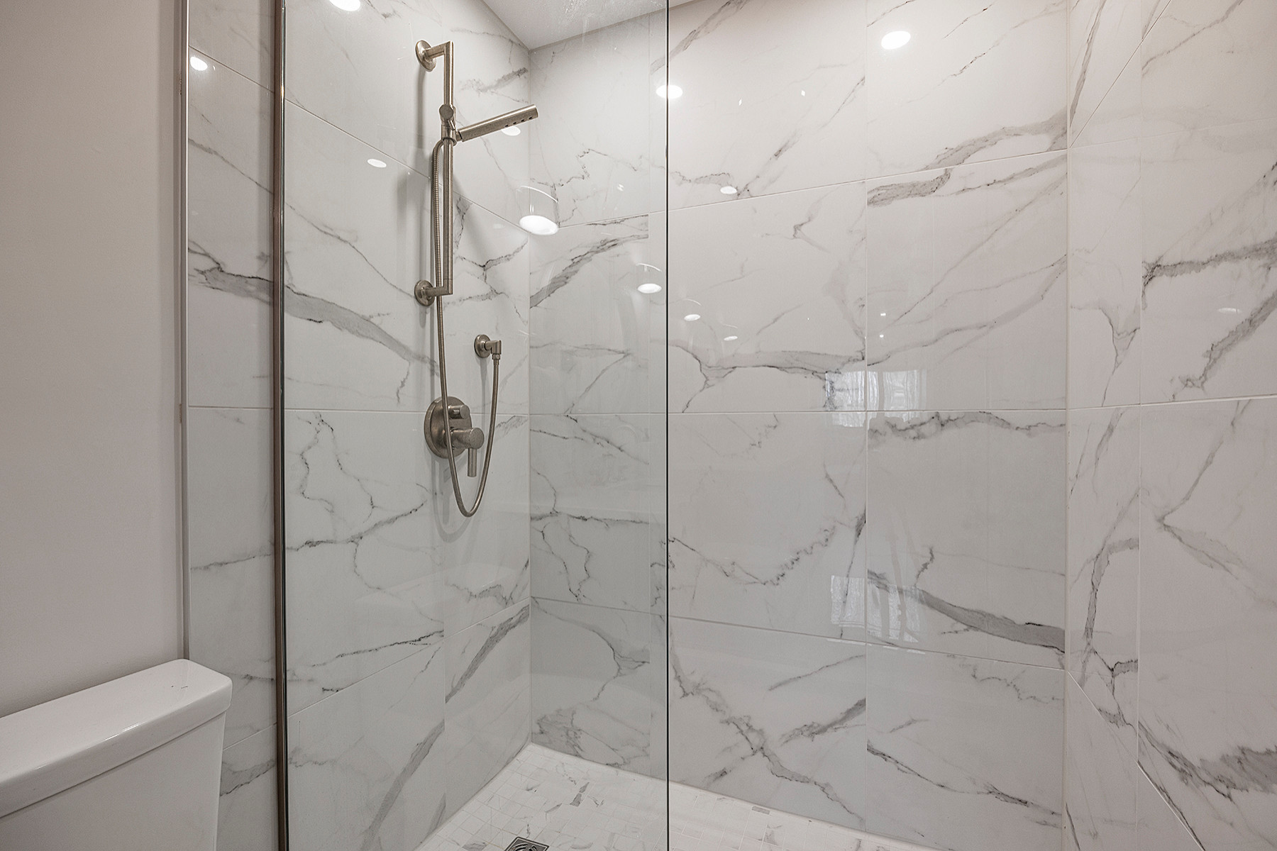 Contemporary Luxury Modern Basement Shower Remodel