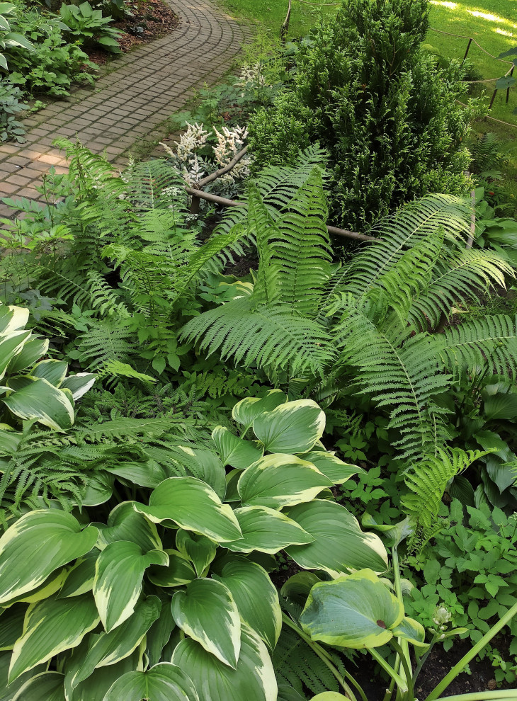 Проект "Форест"