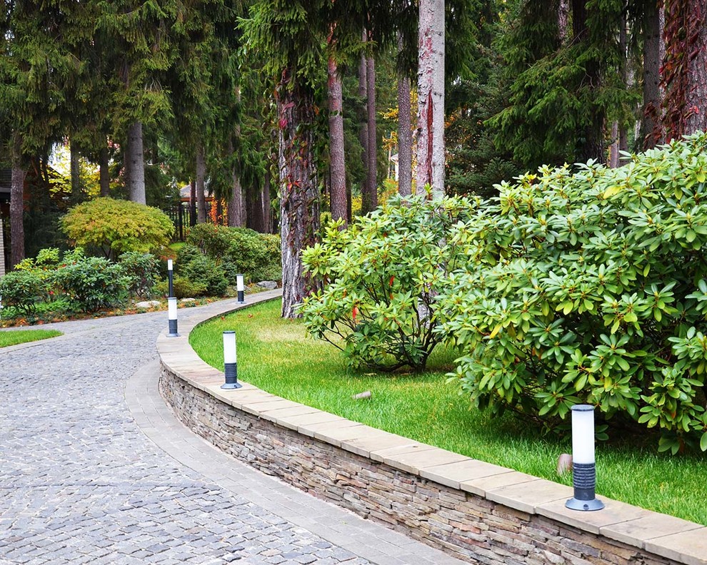Сад с водоемом в КП " Сосновый Бор"