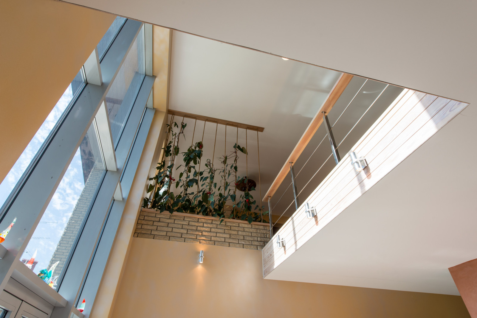 В ярких красках