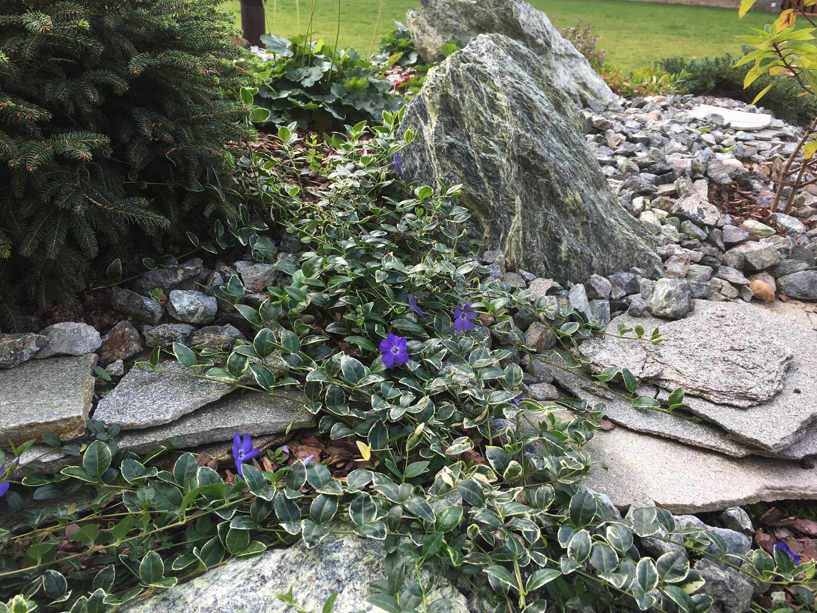 Содружество