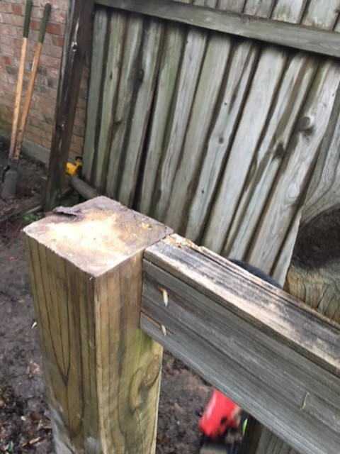 Fallen Fence Repaired