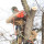Timber Down Tree Service