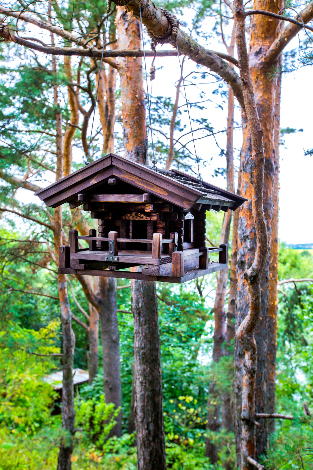 Экостиль в Барвихе