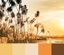 СОЛНЕЧНЫЙ ОСТРОВ