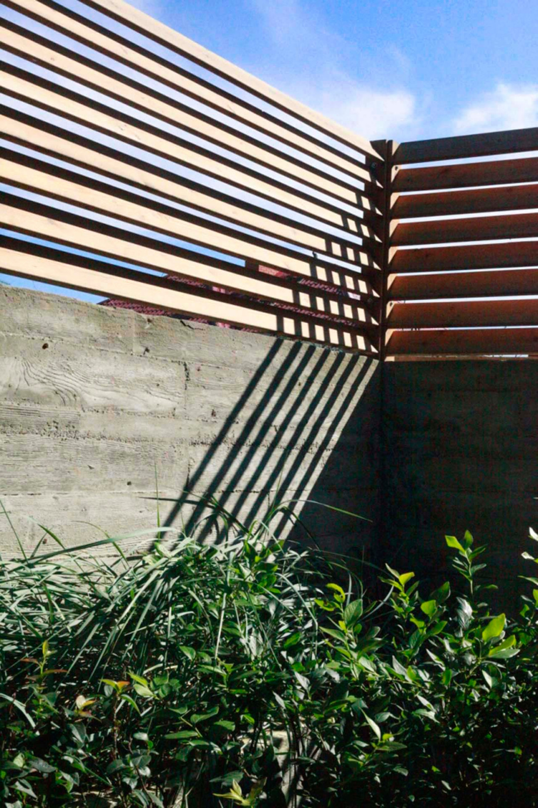 Фрагмент забора