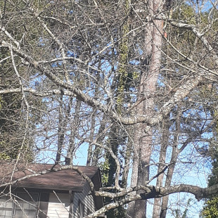 GODFREY TREE, ROOFING, CONCRETE AND REMODEL - Project Photos & Reviews ...