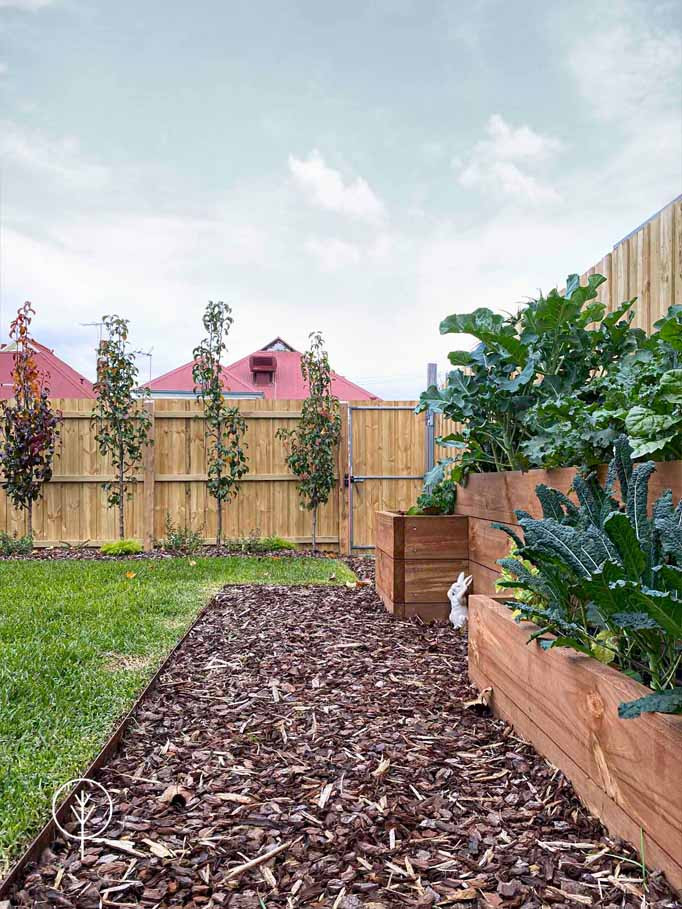 Photo of a mid-sized and australian native modern backyard full sun driveway for spring in Melbourne with with raised garden bed, decomposed granite and a wood fence.