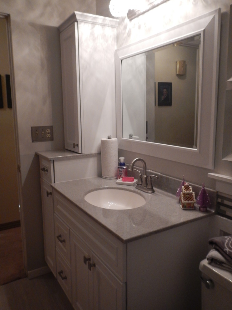 Bathroom Renovation Peoria Il Rsi Cabinetry Transitional Bathroom Chicago By Lowes Of Peoria Il