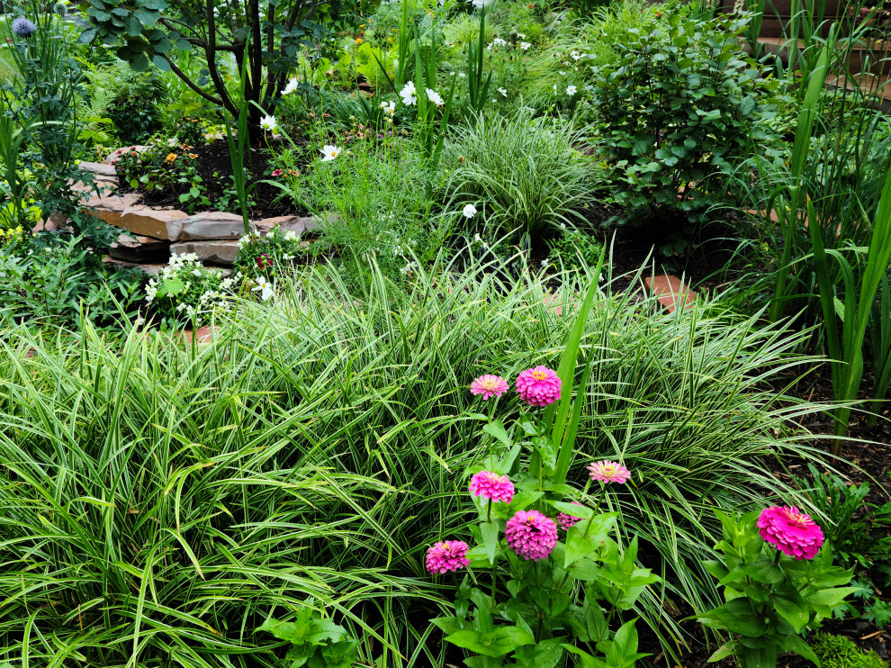 Halbschattiger Mediterraner Garten im Sommer, hinter dem Haus mit Wüstengarten in Grand Rapids